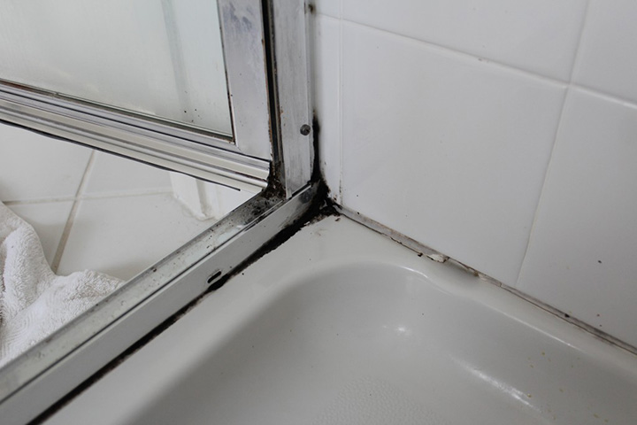 Black mold in metal shower tracking