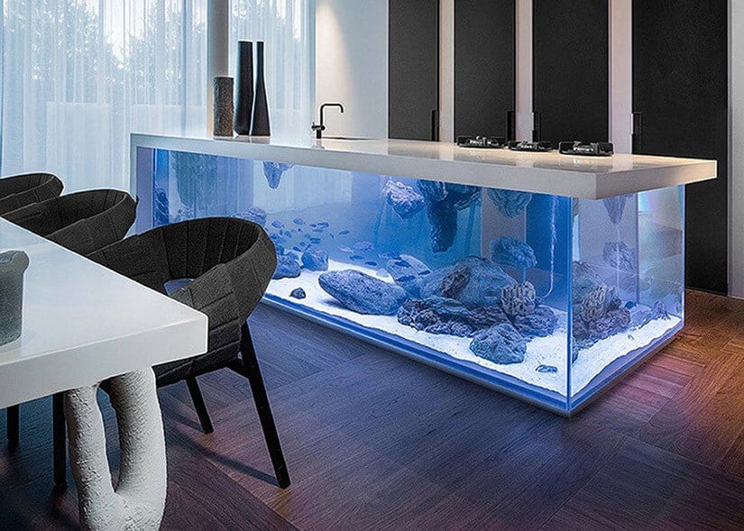 Blue aquarium doubles as a custom kitchen island