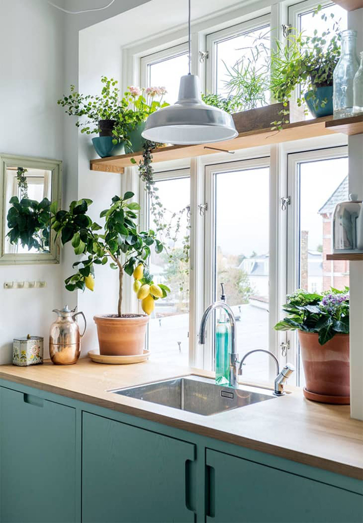 Kitchen with wood countertops and greenery on open shelving above sink.