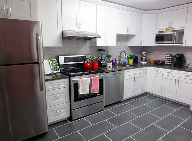 Sarah Lu Ice White Shaker Kitchen Cabinets