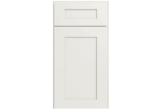 Champagne Shaker cabinet door
