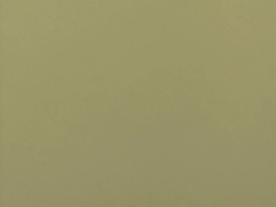 Laurel cabinet paint, warm olive
