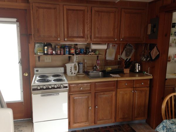 Irina S.’s kitchen before new cabinets