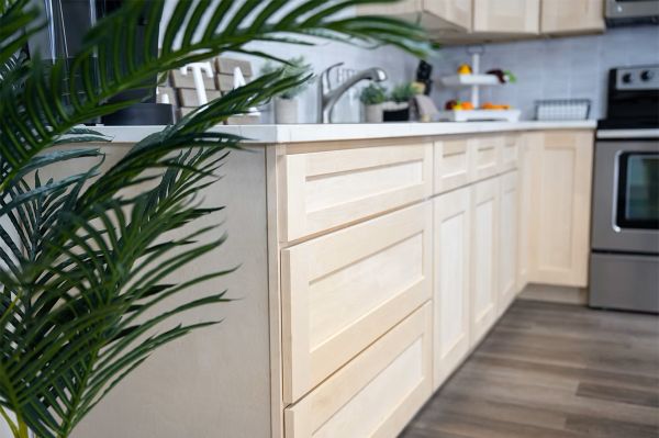 Versa Shaker cabinets, photo 4