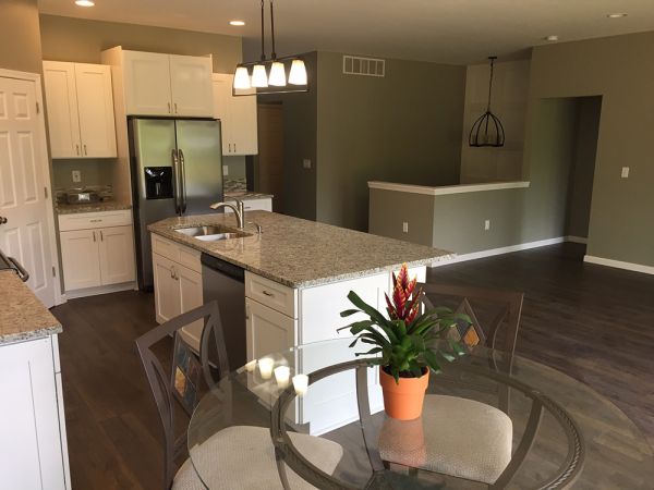 Ice White Shaker cabinets, photo 86