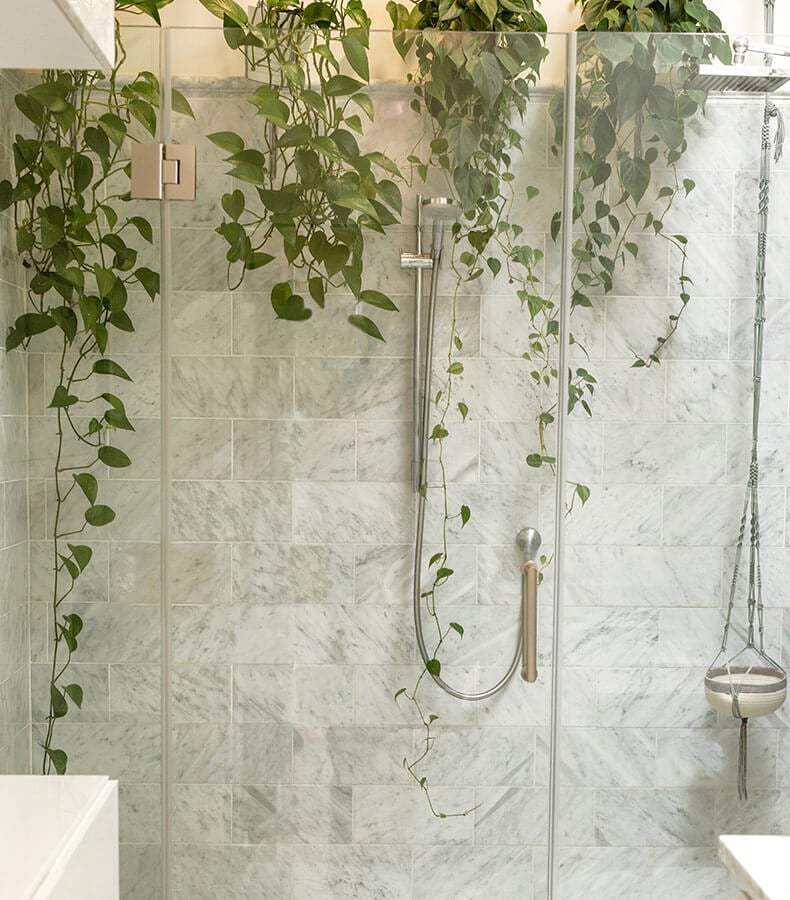 Shower decorated with hanging plants.