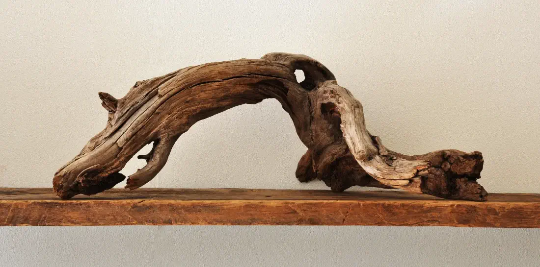 Driftwood decor placed on a floating natural wood shelf.