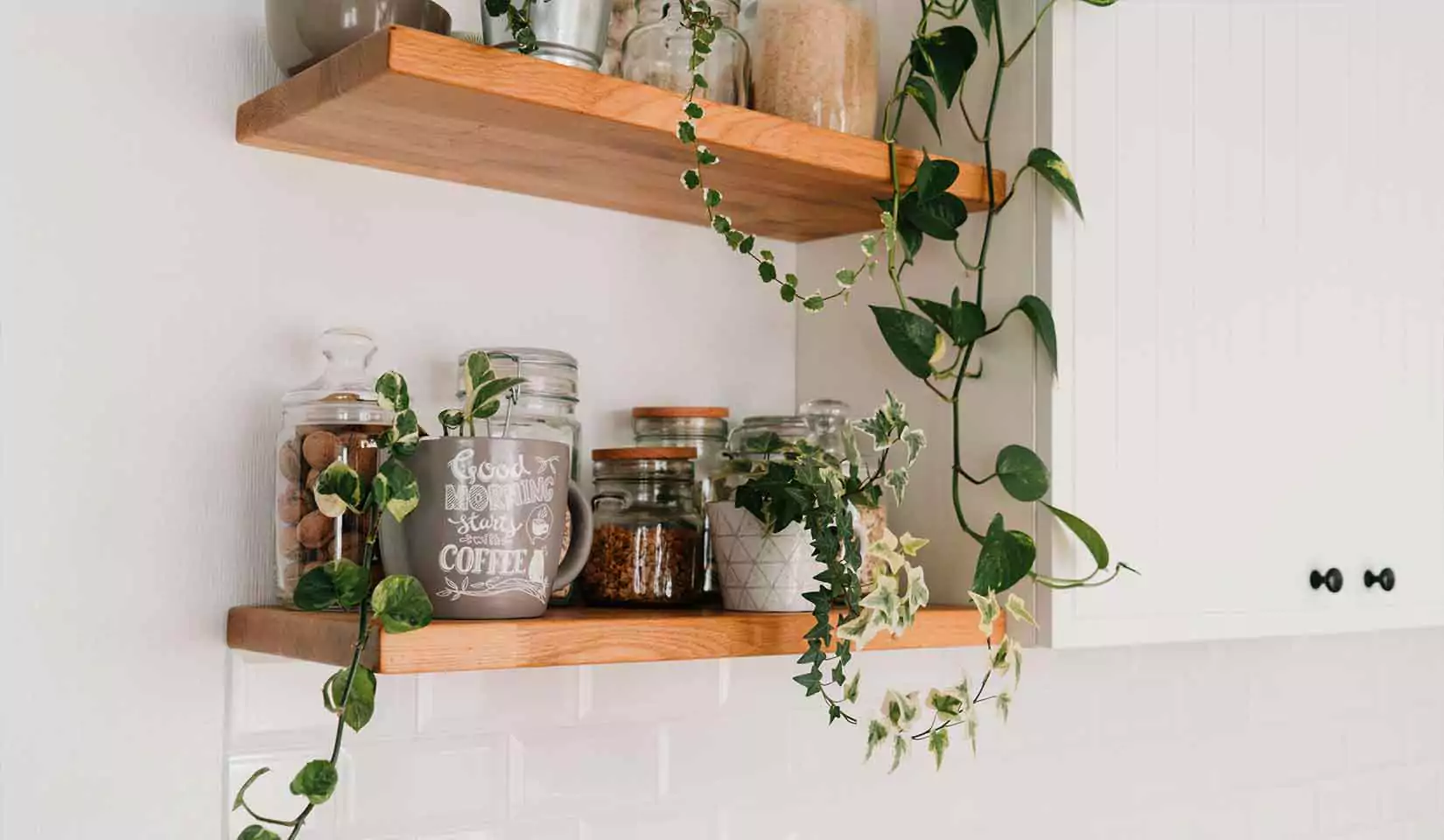 Open shelving in a kitchen with plants and coffee materials.