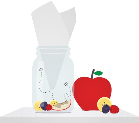 Sick of Fruit Flies in Your Kitchen? Here's How to Get Rid of Them ・  Everyday Cheapskate