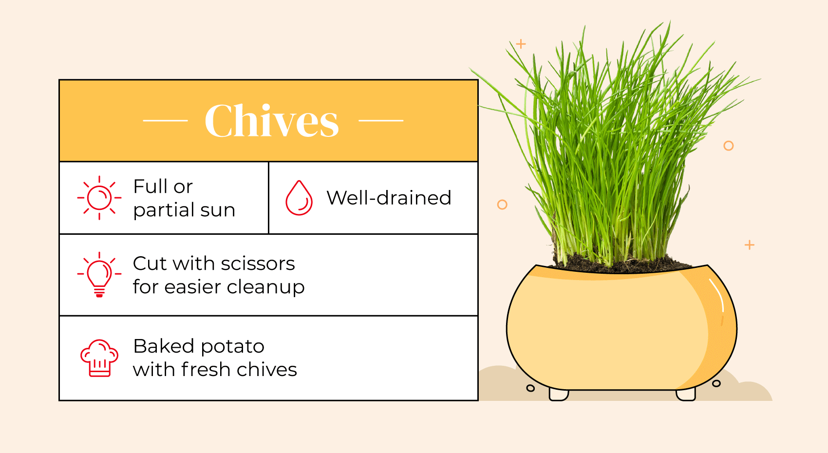 Illustrated pot with chives and care guide.