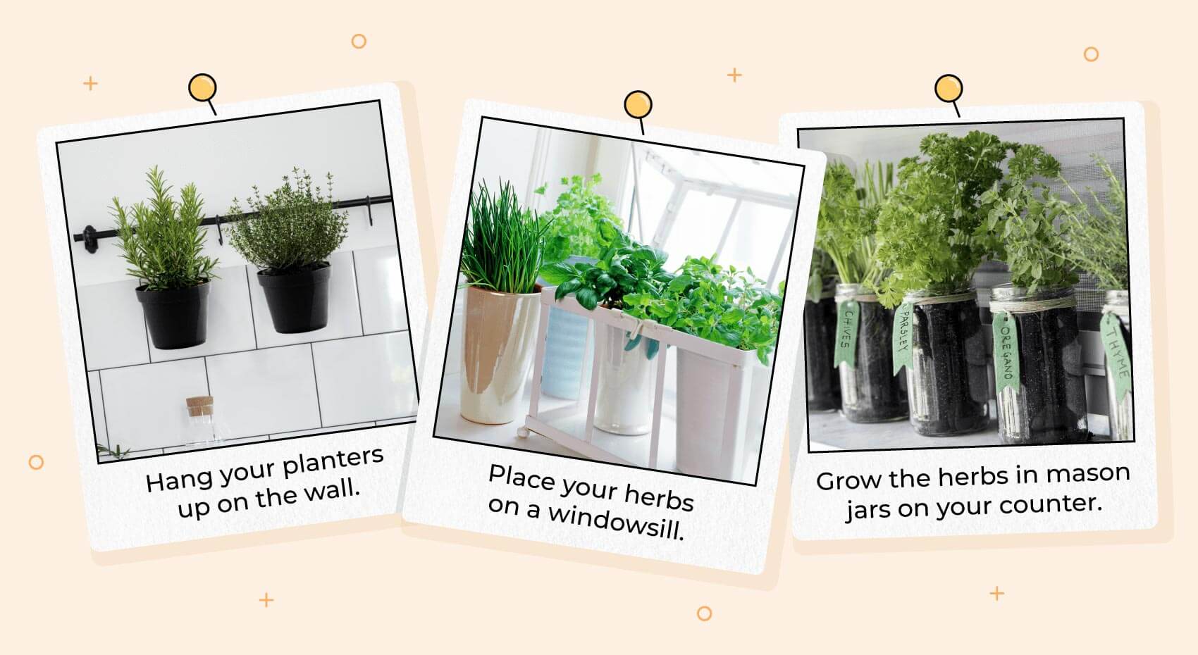 illustrated polaroids with different design ideas for indoor kitchen herb gardens.