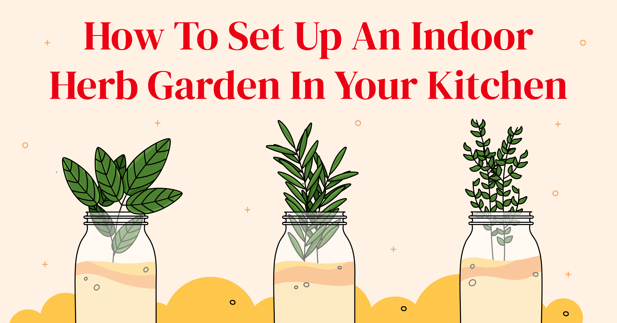Spruce Up Your Kitchen With An Indoor Herb Garden