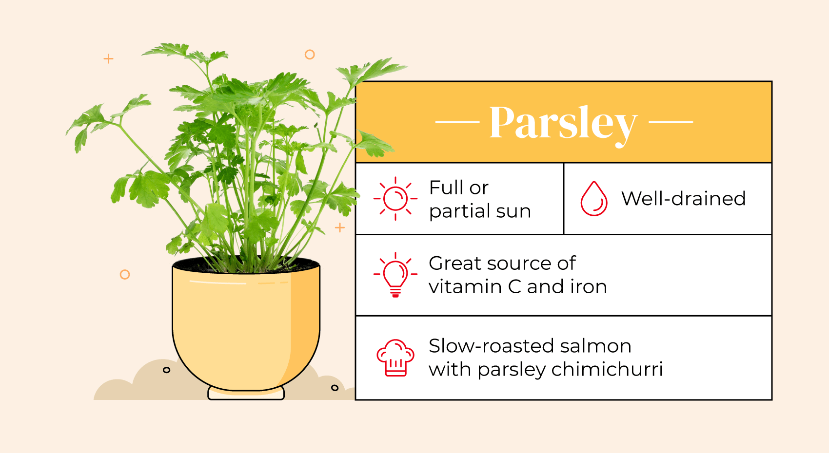 Illustrated pot with parsley plant and care guide.