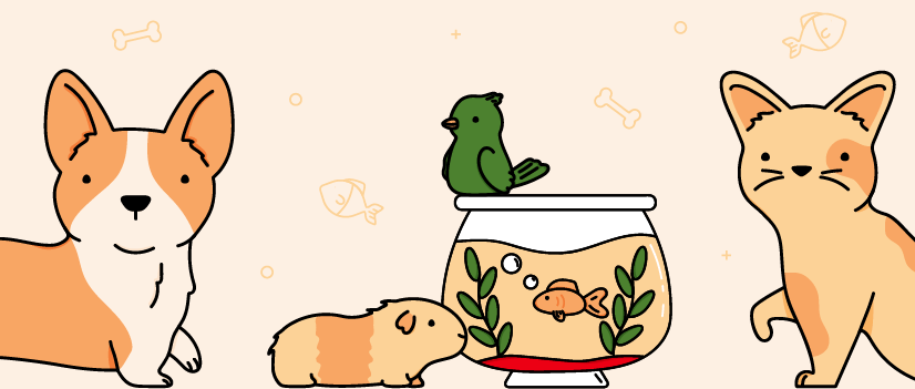 Illustration of dog, guinea pig, bird, fish and cat.