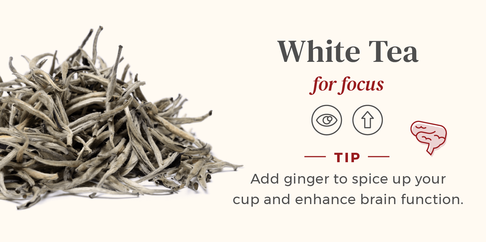 Pile of loose white tea used for focus, add ginger for best effects.