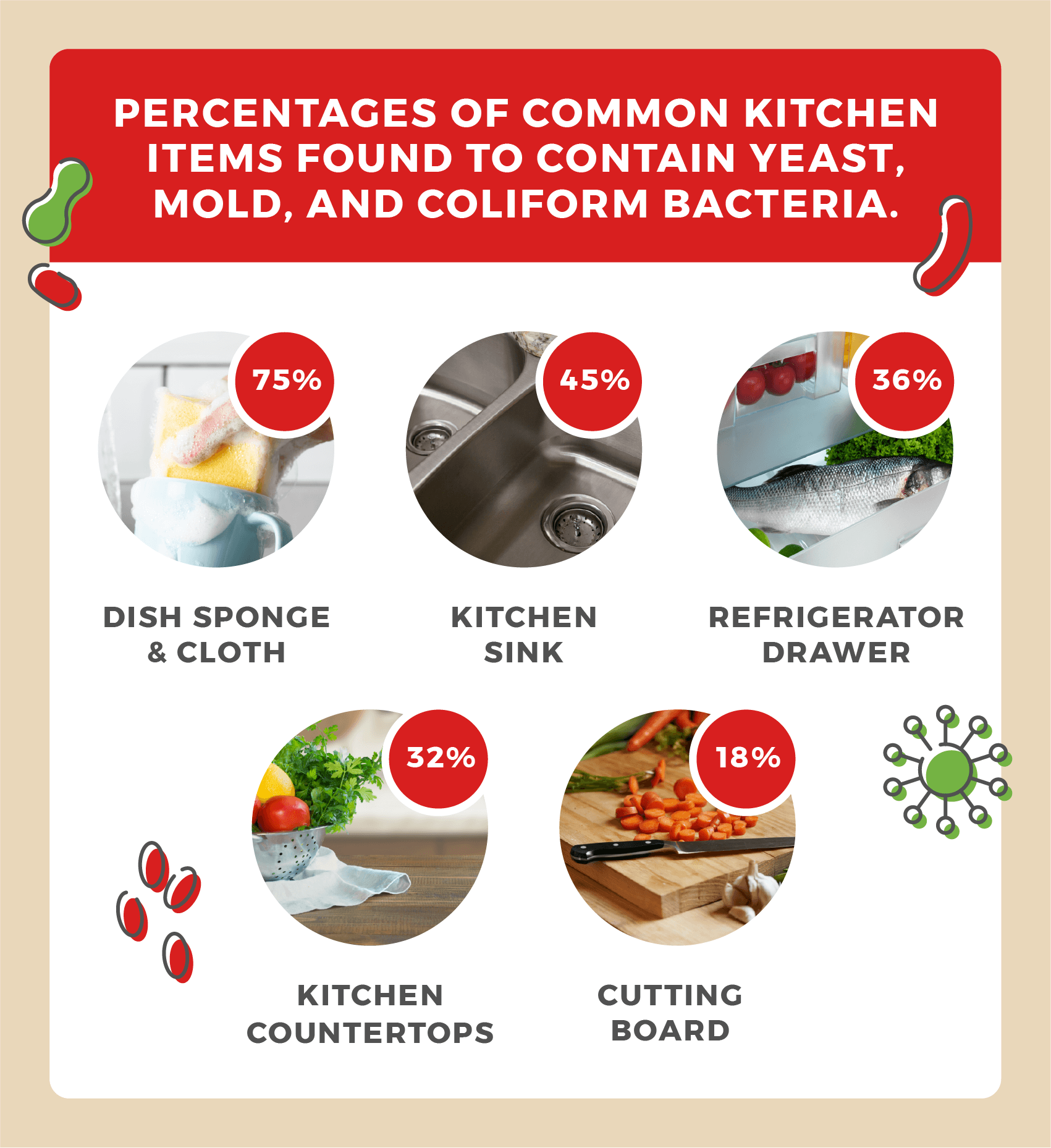 Dish sponges, the kitchen sink, vegetable drawers, countertops and cutting board have been found to contain coliform bacteria.