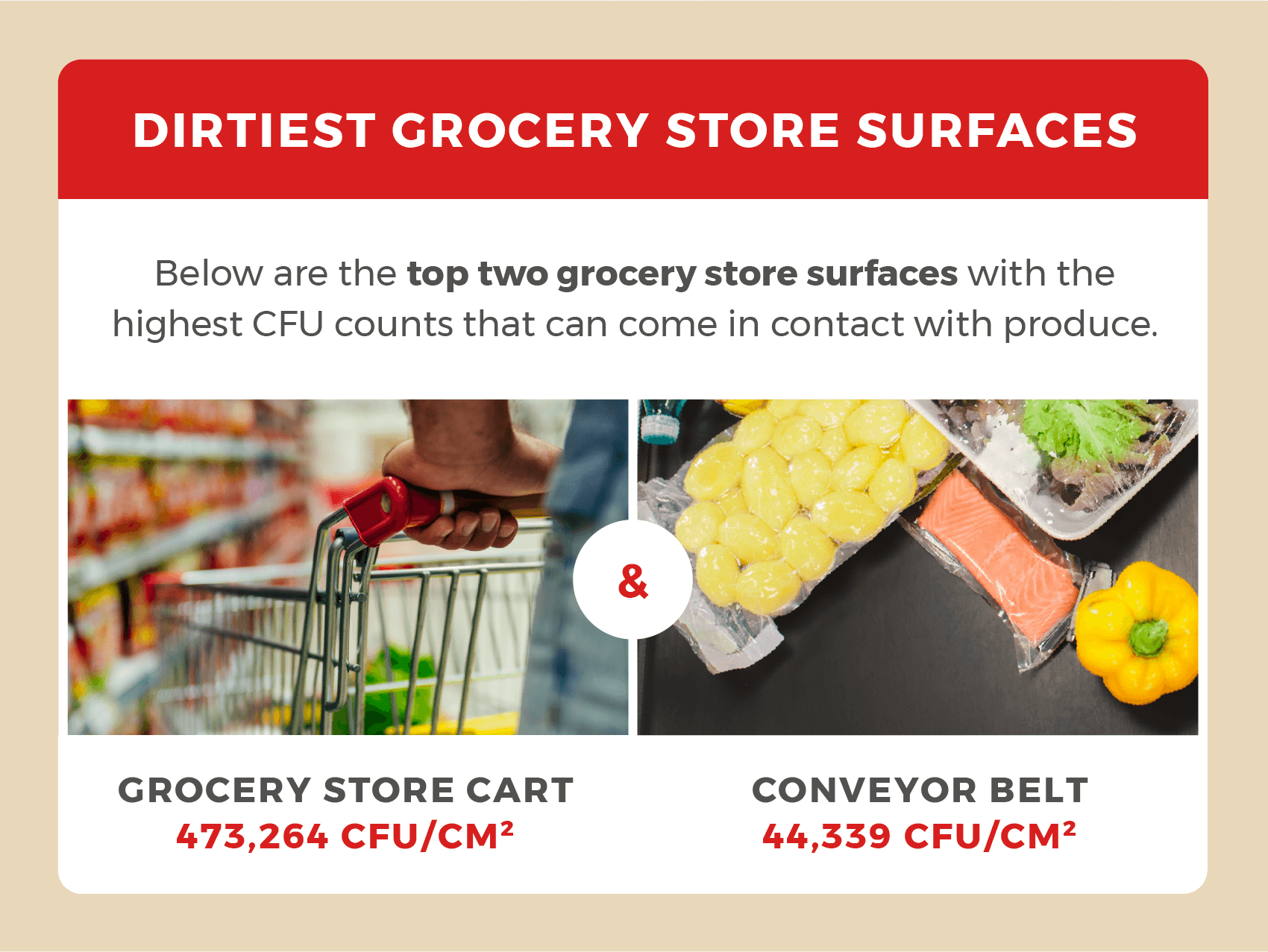 Shopping carts and conveyor belts are surfaces with the highest number of colony-forming units.