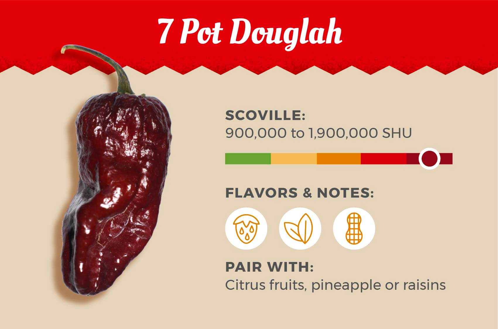 7 Pot Douglah is the number 2 hottest pepper on this list with a high score of 1.9 million Scoville heat units, pair it with citrus fruits, pineapple or raisins.